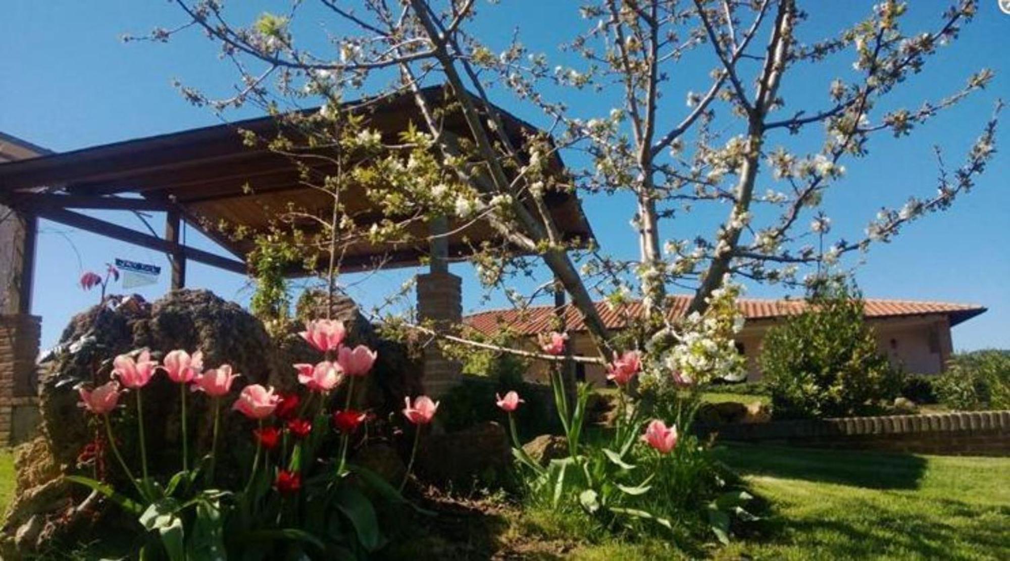 Vila La Mandriana Massa Marittima Exteriér fotografie