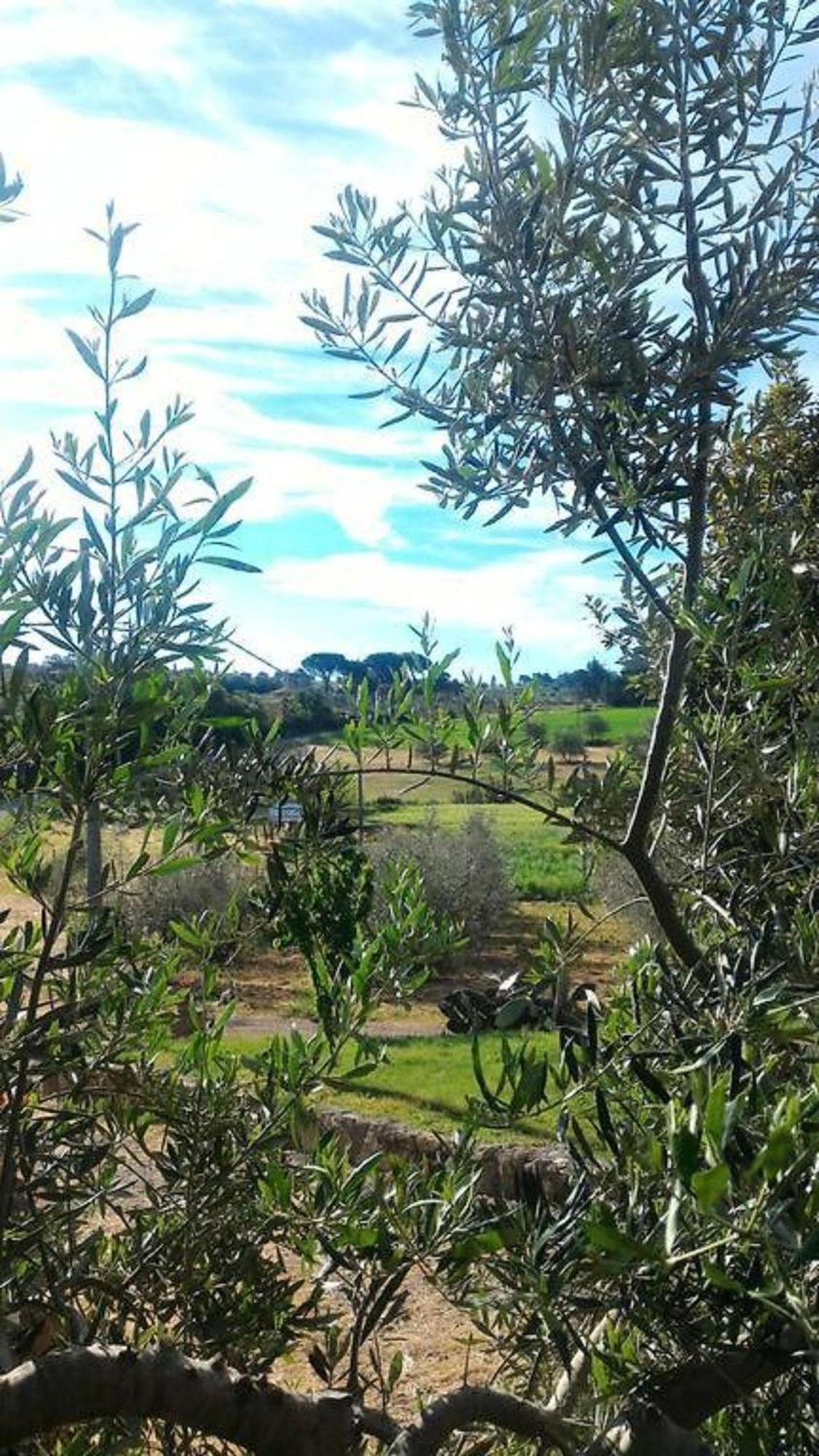Vila La Mandriana Massa Marittima Exteriér fotografie